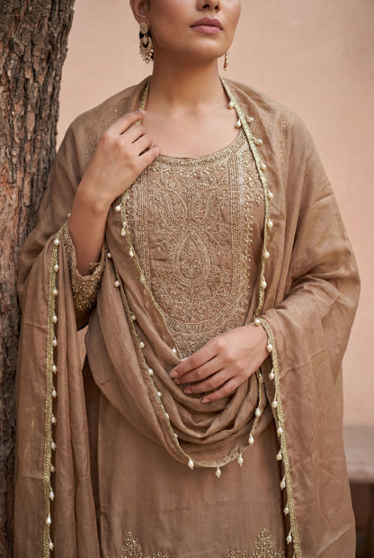 Beige Shimmer Tissue Embroidered Straight Suit (Readymade)